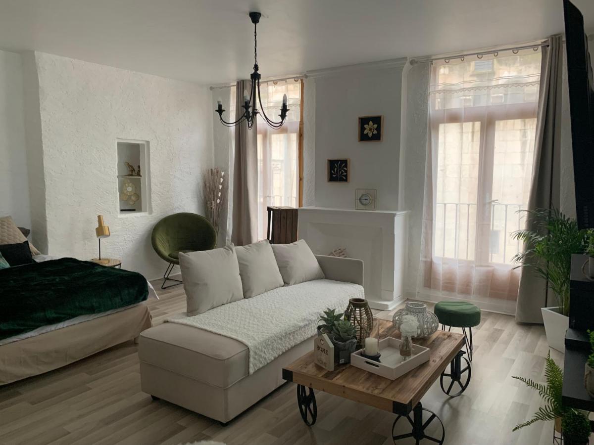 Le Green & Peace Centre Historique, En Face Du Musee Du Pilori, A 2Mn A Pied De L'Hyper Centre Et Proche Toutes Commodites, Wifi-Netflix Niort Bagian luar foto